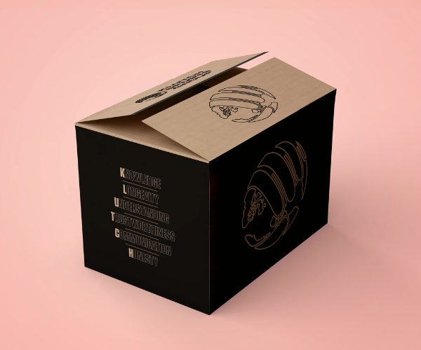 custom corrugated packaging